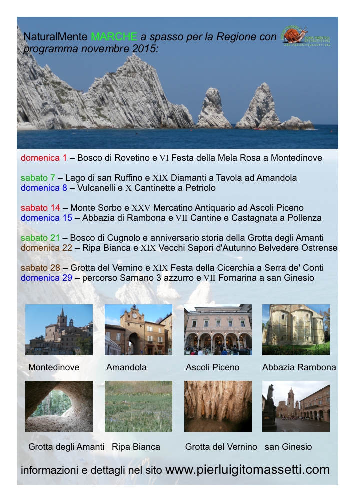 novembre 2015