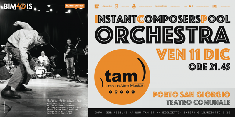 tam_11dic